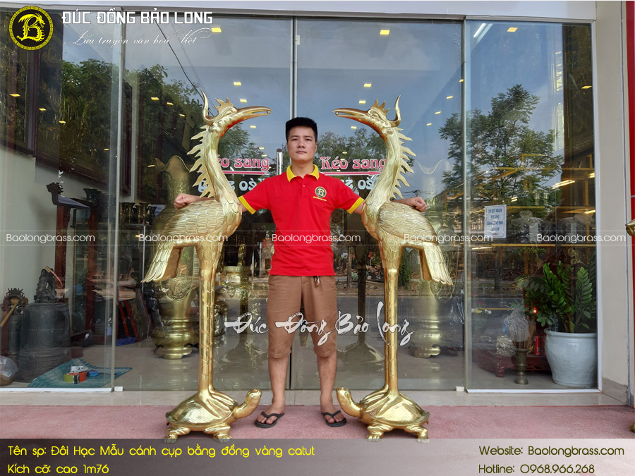 Hạc Đồng Vàng Cao 1m76 ở Sài Gòn TPHCM