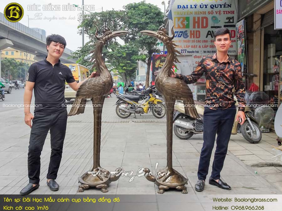 Hạc Đồng Cánh Cụp cao 1m76 ở Sài Gòn TPHCM