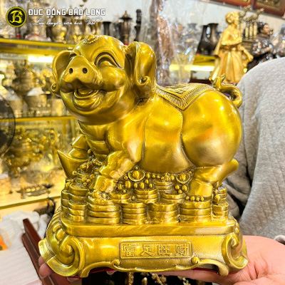 Tượng Đồng Hợi ( Heo - Lợn ) Phong Thủy Màu Vàng Mộc cao 2 tấc ( 25 cm ) ở Sài Gòn TPHCM