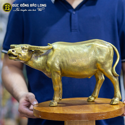 Tượng Đồng Sửu ( Trâu ) Đứng Phong Thủy Bằng Đồng Vàng dài gần 4 tấc ( 36 cm ) ở Sài Gòn TPHCM