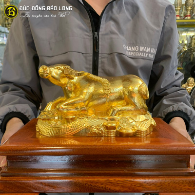 Tượng Đồng Sửu ( Trâu ) Nằm Phong Thủy Dát Vàng 9999 dài 2 tấc ( 22 cm ) ở Sài Gòn TPHCM